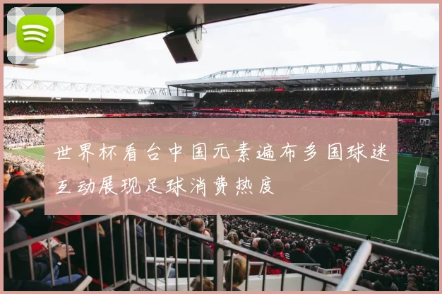 世界杯看台中国元素遍布多国球迷互动展现足球消费热度