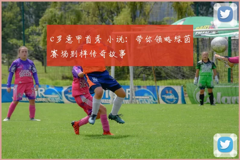 c罗意甲首秀 小说：带你领略绿茵赛场别样传奇故事
