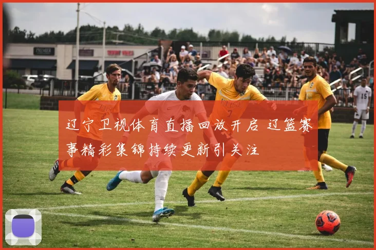 辽宁卫视体育直播回放开启 辽篮赛事精彩集锦持续更新引关注