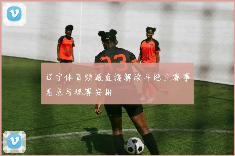 辽宁体育频道直播解读斗地主赛事看点与观赛安排